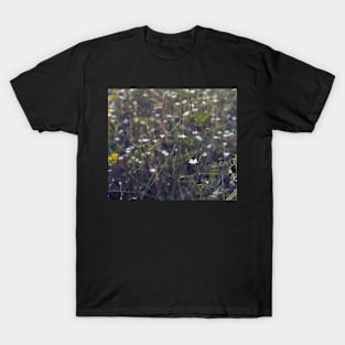 White flowers blooming in the meadow T-Shirt